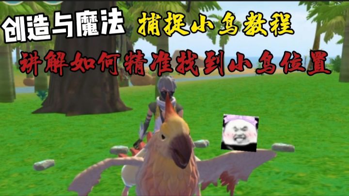 【创造与魔法】捕捉小鸟教程 教你准确找到小鸟位置截图