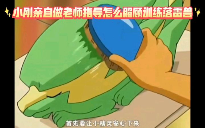 精灵宝可梦 小刚亲自做老师指导怎么照顾训练落雷兽截图