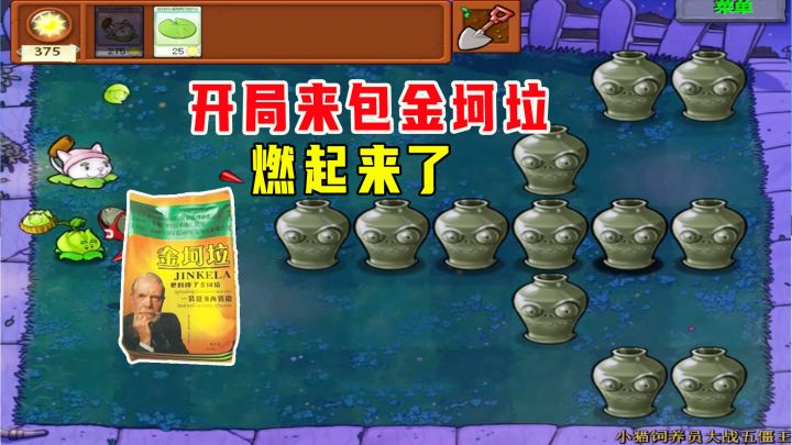 植物大战僵尸:小猫饲养员大战五僵王(下),这就是你们要的下集截图