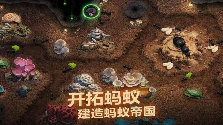 小小蚁国:蚂蚁养成模拟策略手游,我要成为蚁国领主截图