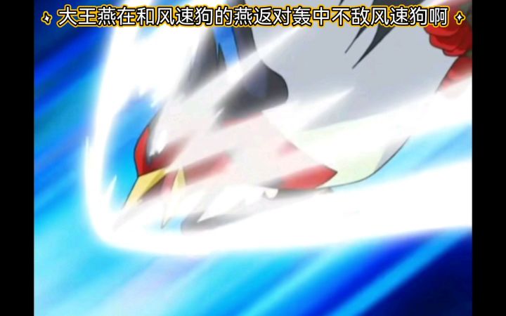 精灵宝可梦 大王燕在和风速狗的燕返对轰中不敌风速狗啊截图