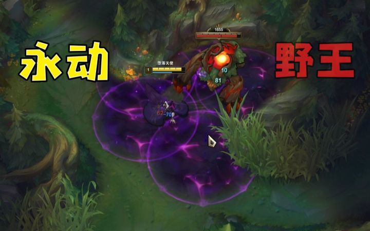 野 区 资 本 家截图