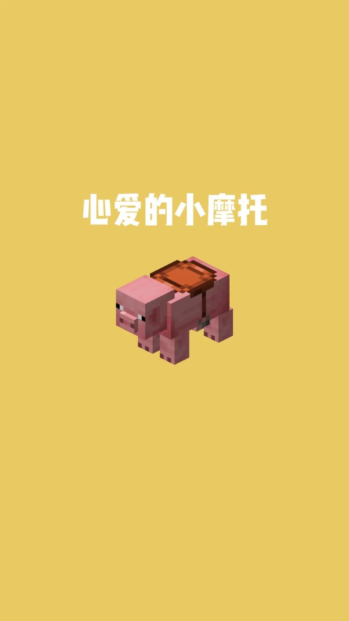 我的世界vs真实世界——心爱的小摩托#我的世界动画截图