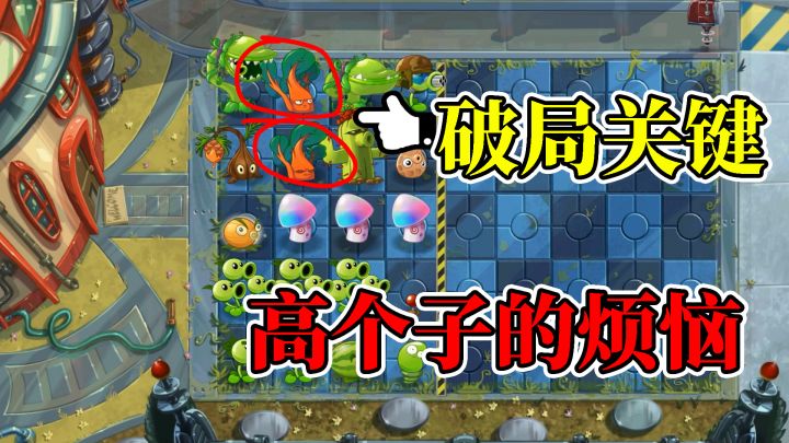 植物大战僵尸:自制关卡之高个子的烦恼!截图