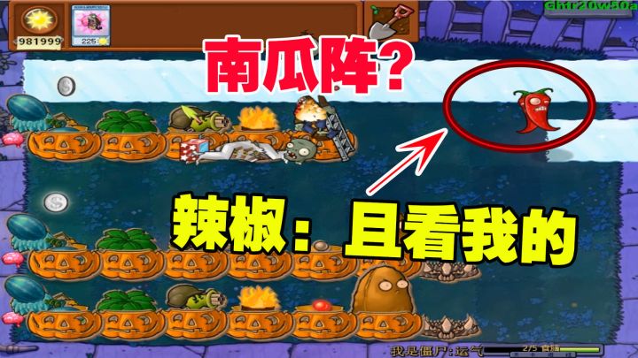 植物大战僵尸：粉丝提供的南瓜阵，老帅开始表演真正的技术截图