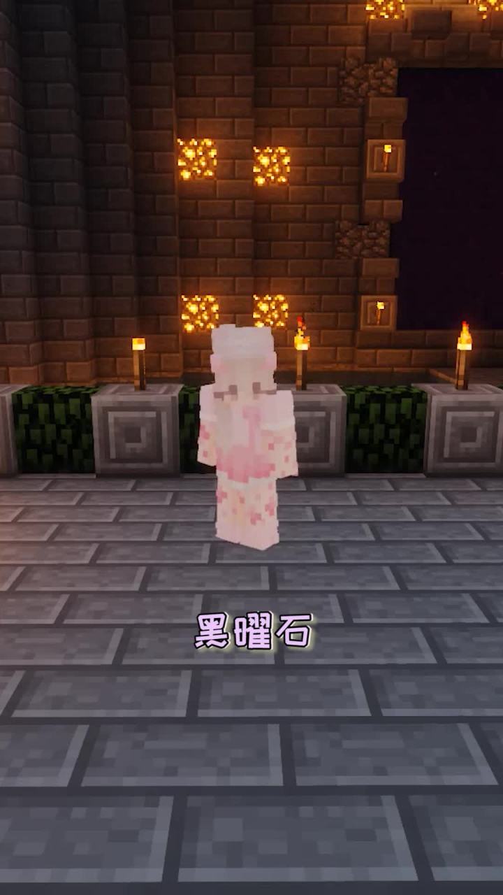 请问图中的末影人哪个是黑大炮?#mc不灭 #我的世界截图