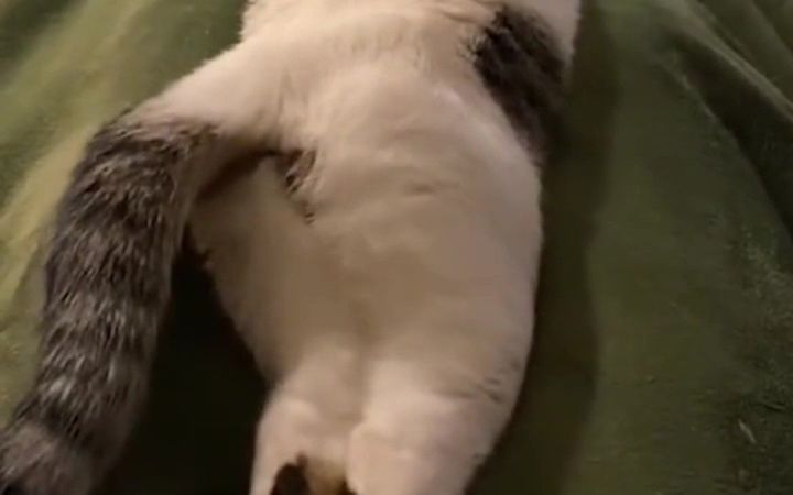 勾引,明晃晃的勾引截图
