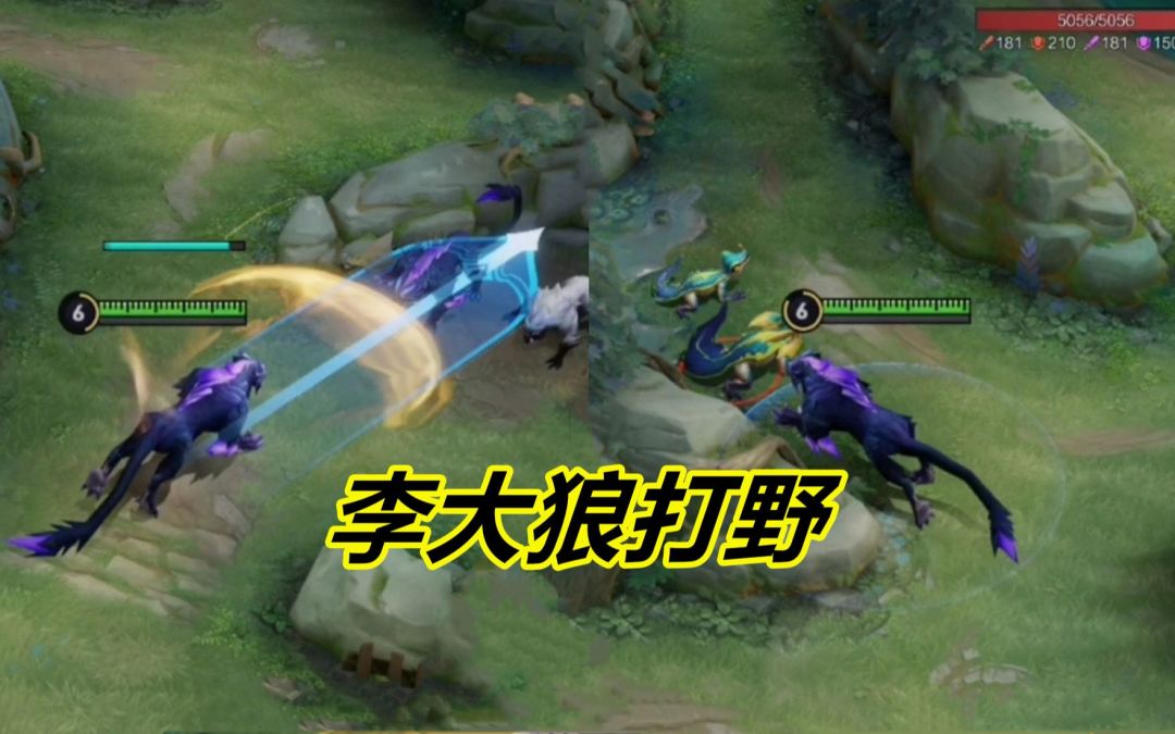 video-2070327