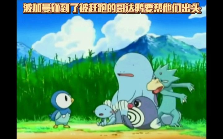 精灵宝可梦 波加曼碰到了被赶跑的哥达鸭要帮他们出头截图