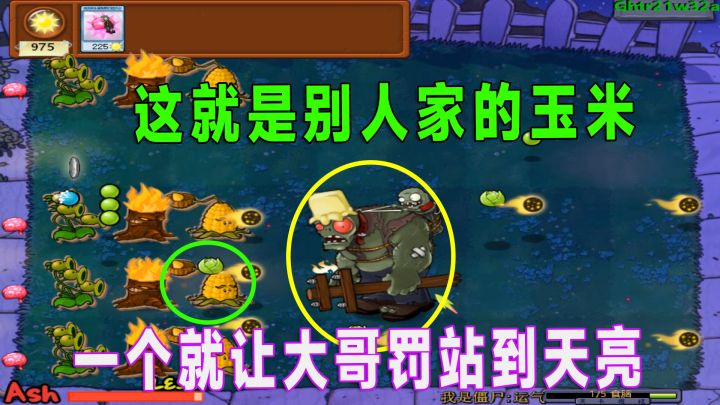 植物大战僵尸：一次机会，这阵容难度不小呀截图
