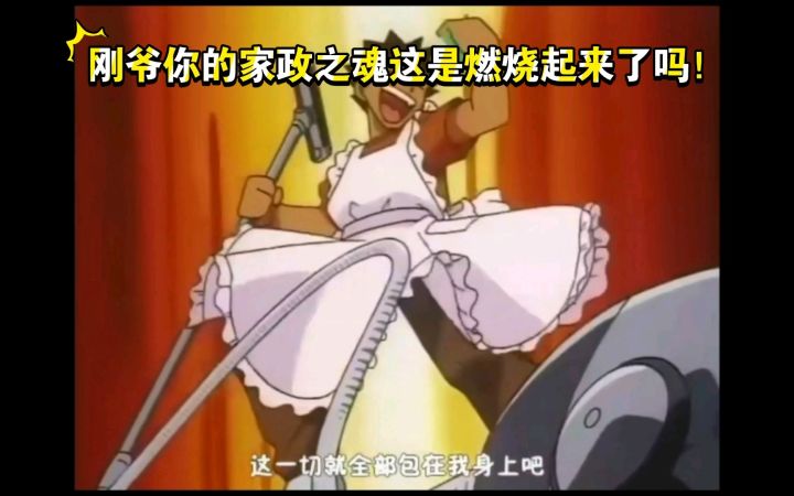 精灵宝可梦 刚爷你的家政之魂这是燃烧起来了吗截图