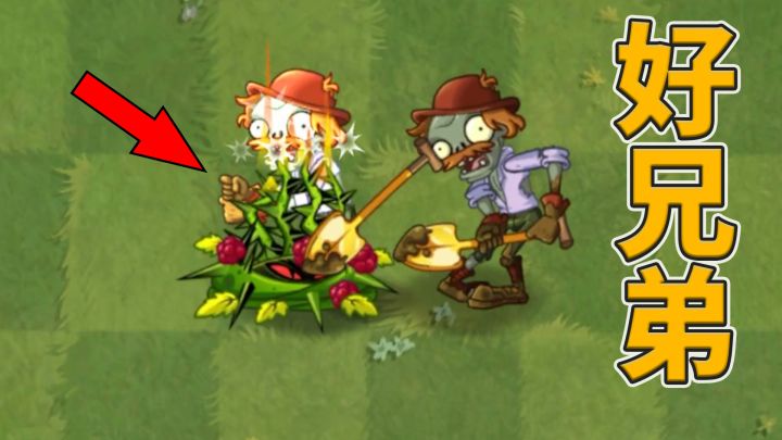 植物大战僵尸2:如何解除荆棘藤蔓的束缚?截图