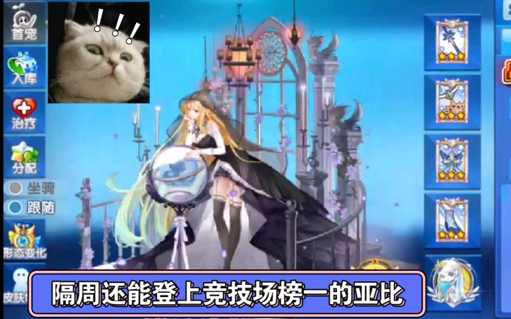 小璃:历经一周居然登上竞技场榜一的亚比实力如何,奥拉星满战专属王者龙母pvp第二次详细实战评测。截图