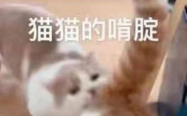 开局全数字牌如何获得胜利截图