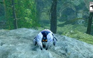 《怪物猎人崛起 曙光》新环境生物「鬼偶蛛」实机演示