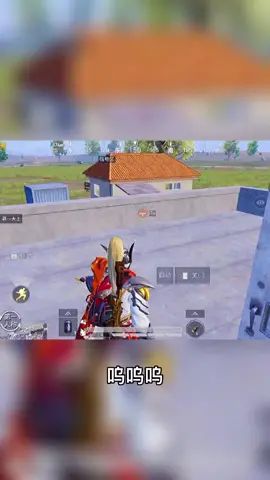 video-2115684