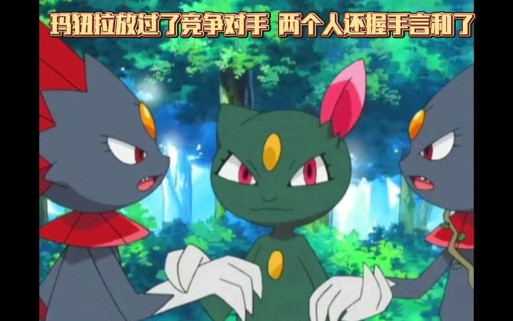 精灵宝可梦 玛狃拉放过了竞争对手 两个人还握手言和了截图