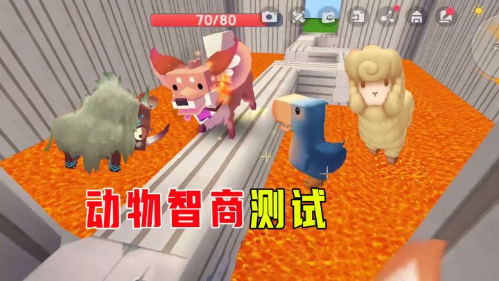 迷你世界:动物智商测试,羊驼最聪明,嘟嘟鸟最胆子,谁最笨呢?截图