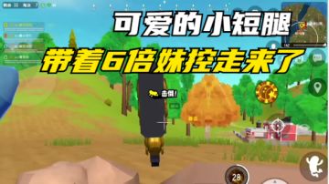 【阿狸狸】可爱的小短腿带着她的妹控走来了!