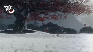 不是一个人冒险的开放世界