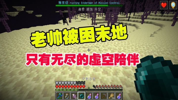 我的世界匠魂36：在粉丝的指导下，被困末地，只有无尽的虚空陪伴截图