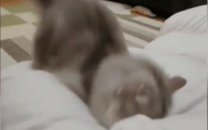 练习一下,等麻麻回来就往她怀里扑!截图