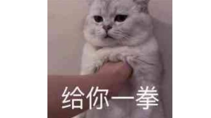 上乘套路 拘魂阁拳法 【大阴阳手】特效演示截图
