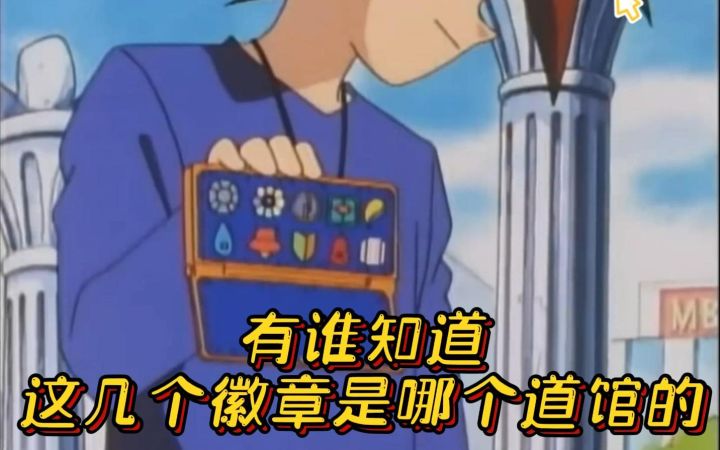 神奇宝贝 有谁知道这几个徽章是哪个道馆的截图