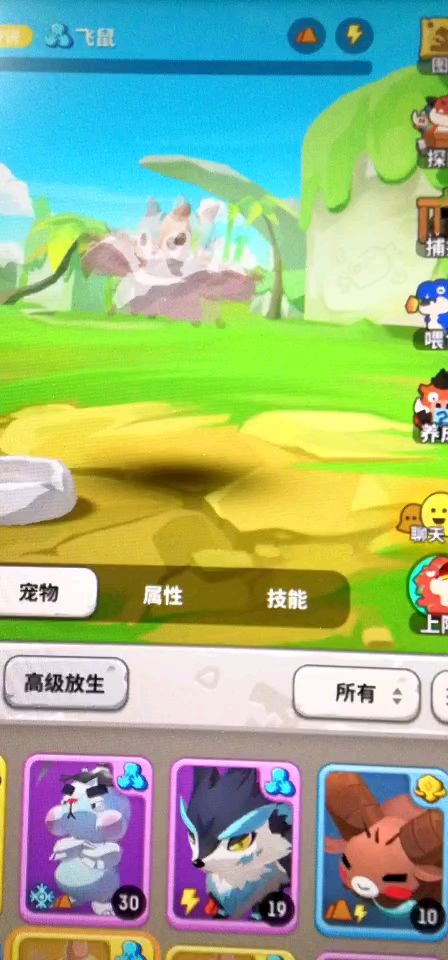 video-1080127