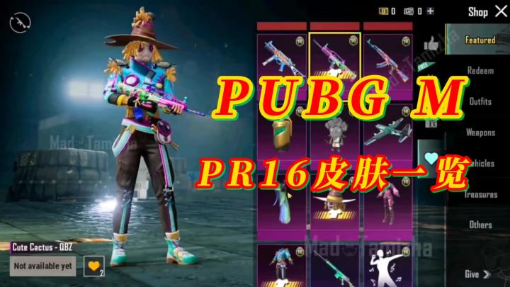PUBG M PR16通行证皮肤一览截图