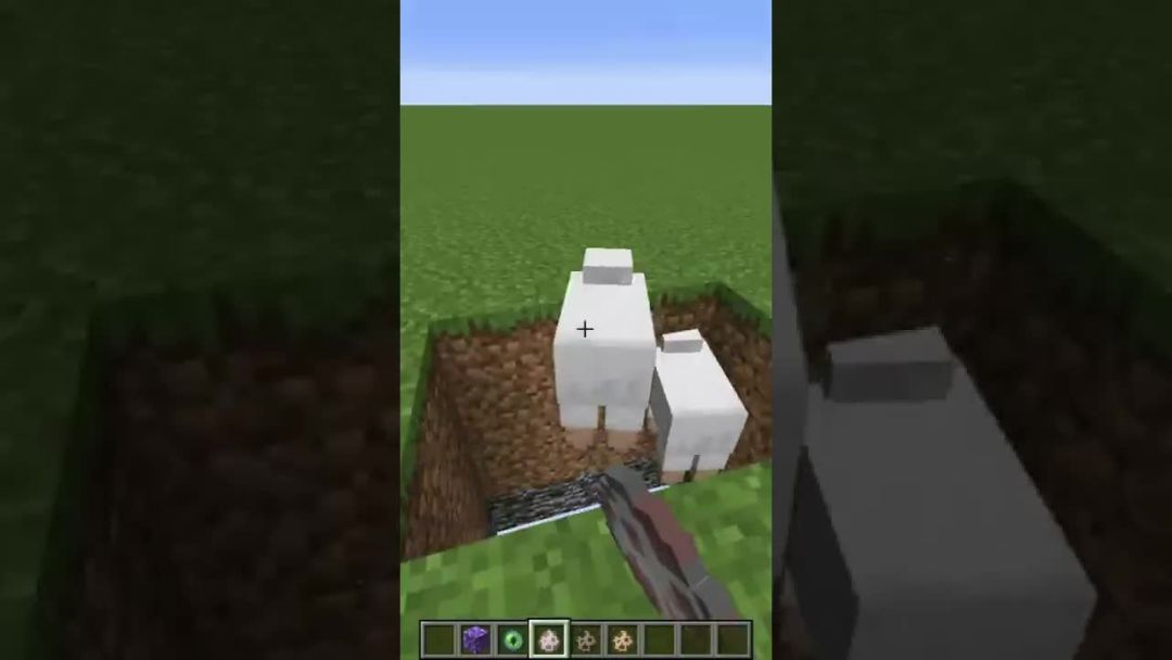 video-2763317