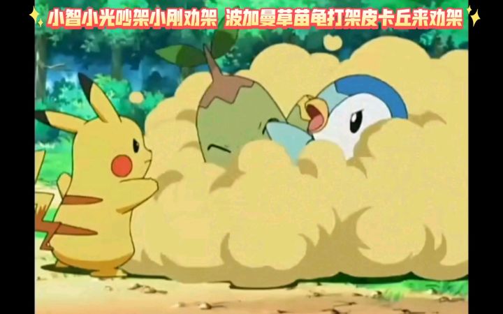精灵宝可梦 小智小光吵架小刚劝架 波加曼草苗龟打架皮卡丘来劝架截图