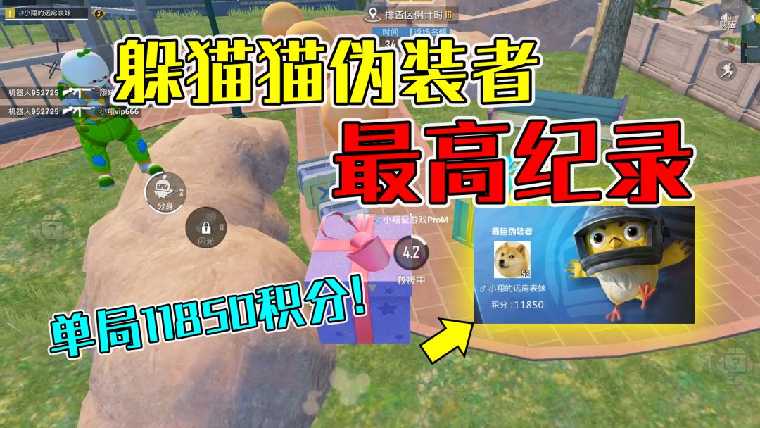 video-2232126