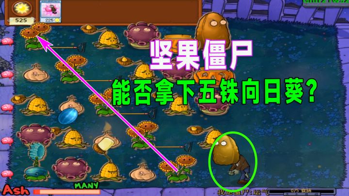 植物大战僵尸：一个高坚果僵尸能一次拿下五朵向日葵？截图