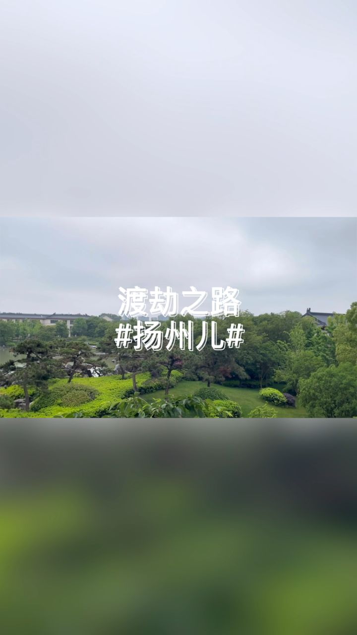 也是销金一锅子,故应唤作瘦西湖#旅行vlog #日常vlog #向往的生活截图
