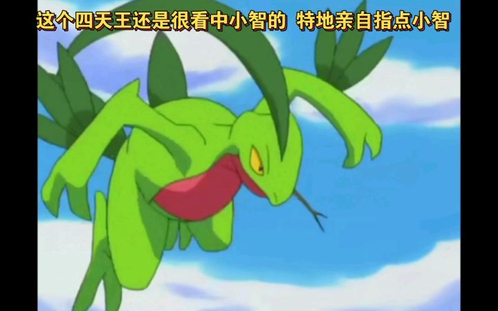 精灵宝可梦 这个四天王还是很看中小智的 特地亲自指点小智截图