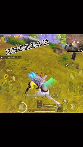 #和平精英 #游戏精彩时刻 #吃鸡日常 巡查员来了也解释不清楚了!😂😂😂截图