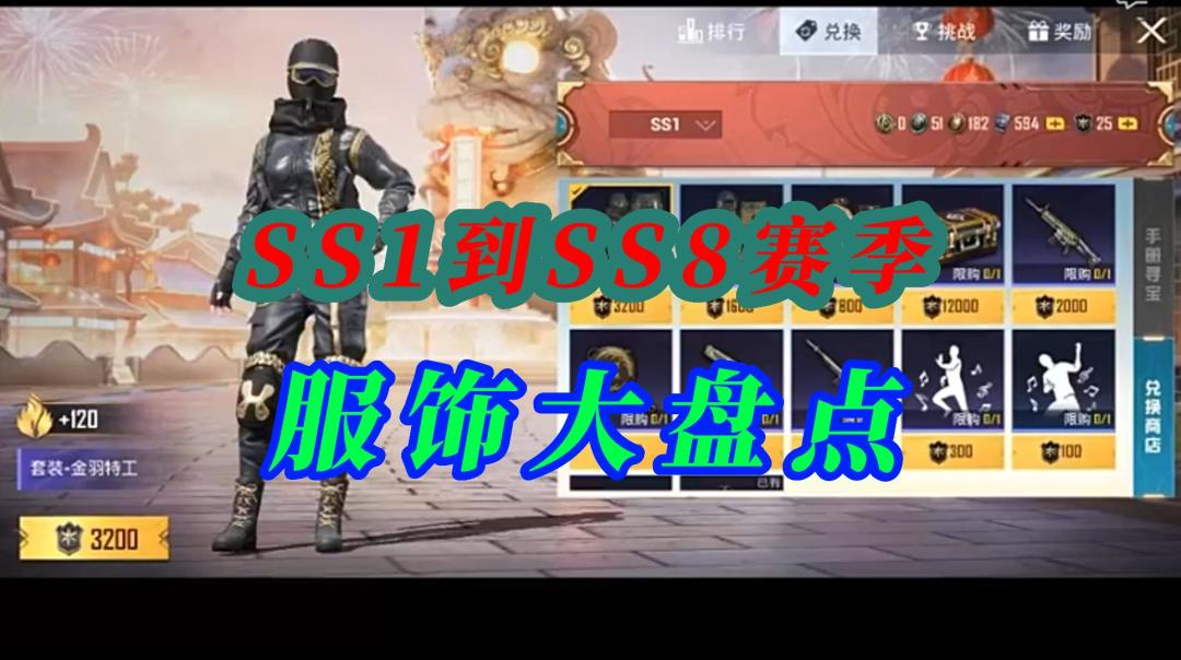 video-3134665