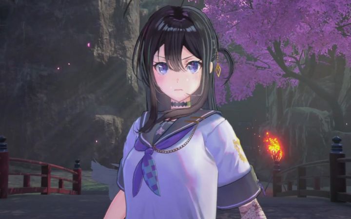 D3 Publisher新作《武士少女》预告截图