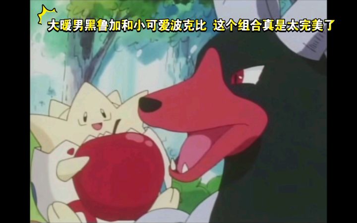 精灵宝可梦 大暖男黑鲁加和小可爱波克比 这个组合真是太完美了截图