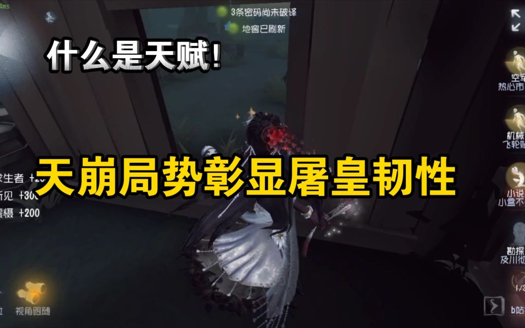 video-3314463