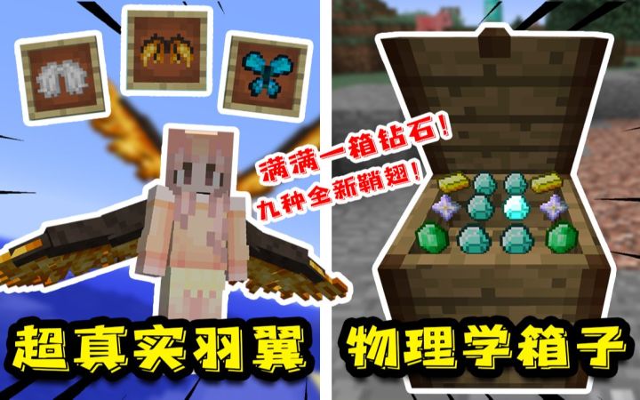 我的世界:物理学箱子?超真实鞘翅! 九种全新鞘翅和各种厨具!截图