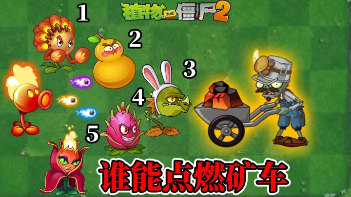 植物大战僵尸:哪些植物能点燃矿车?截图