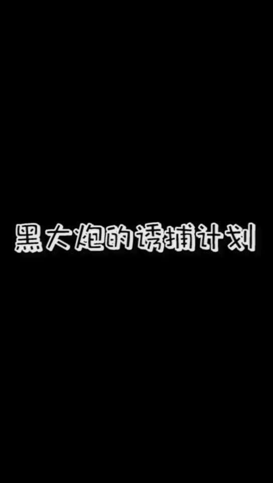 黑大炮的诱捕计划截图
