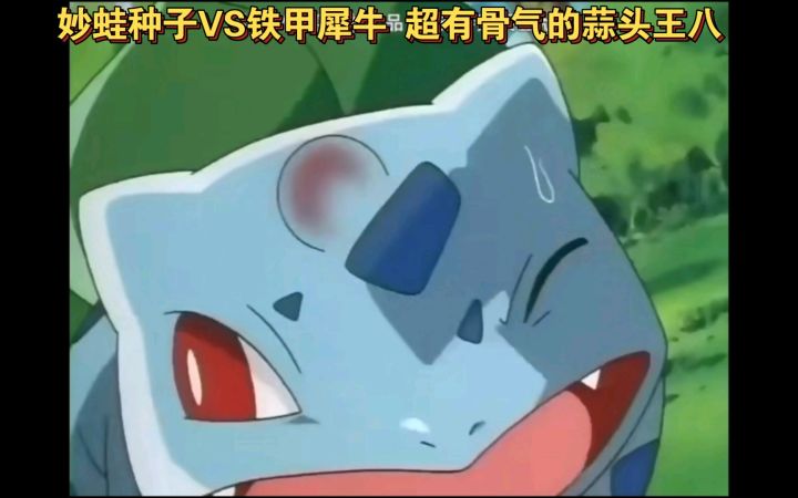 精灵宝可梦 妙蛙种子VS铁甲犀牛 超有骨气的妙蛙种子截图