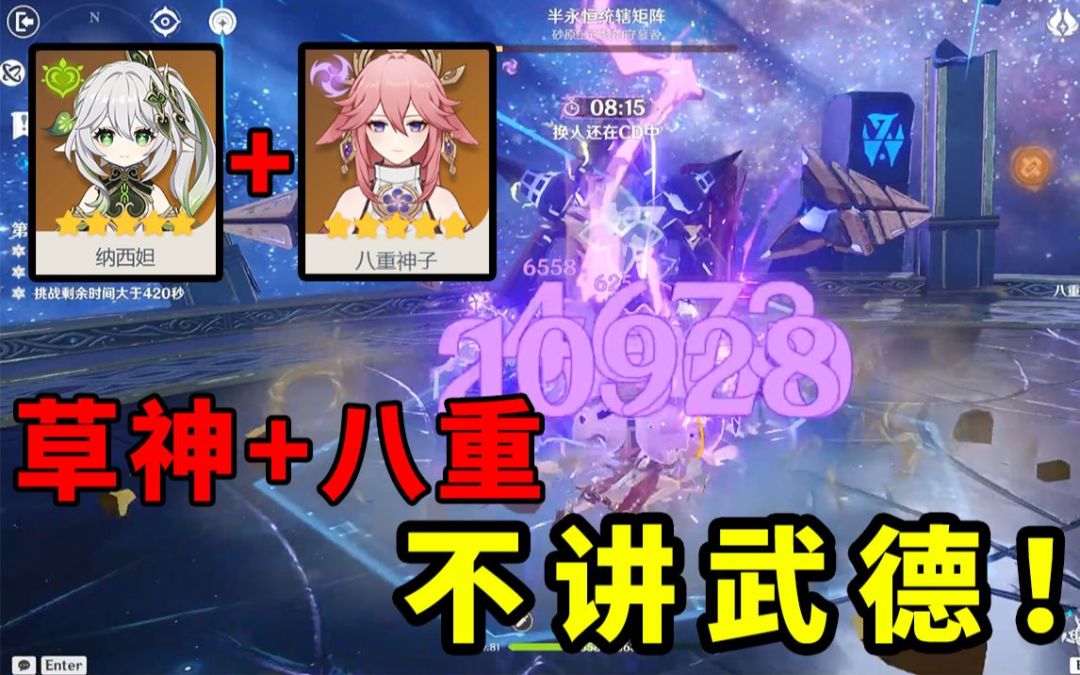 video-3079901