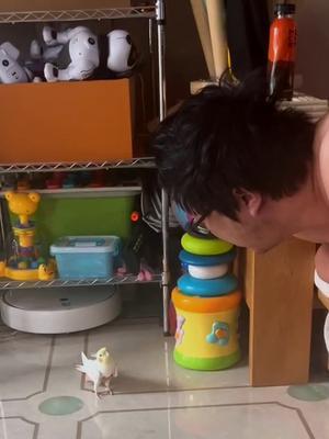 video-3666124