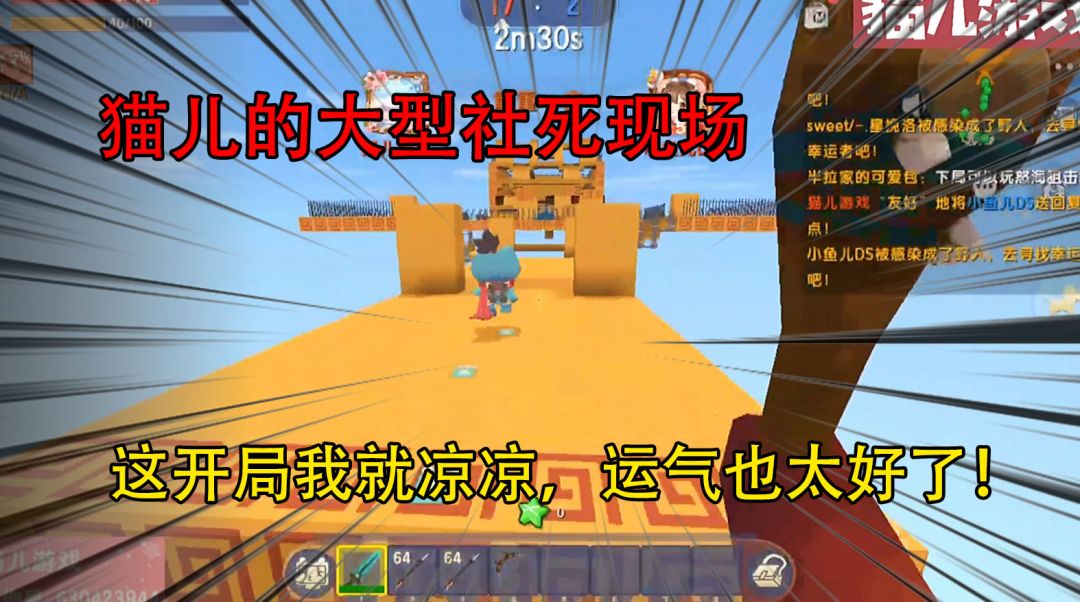 video-2178906