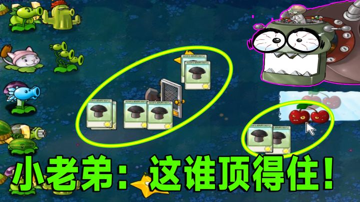 植物大战僵尸：满屏黑蘑菇加樱桃炸弹，小老弟直接懵圈了截图