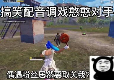 举报+1粉丝-1截图